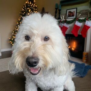 Meet your Posher, Eileen